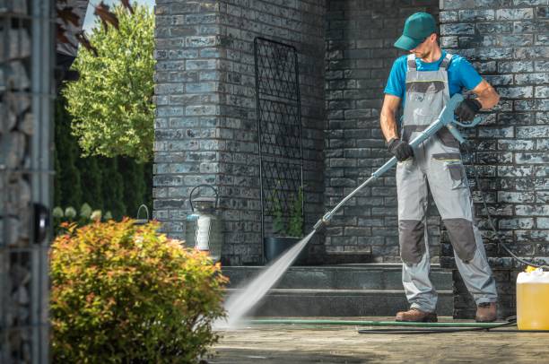 Best Soft Washing  in Henderson, NC